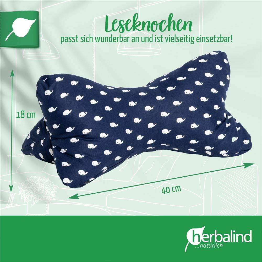 Leseknochen Wale marine