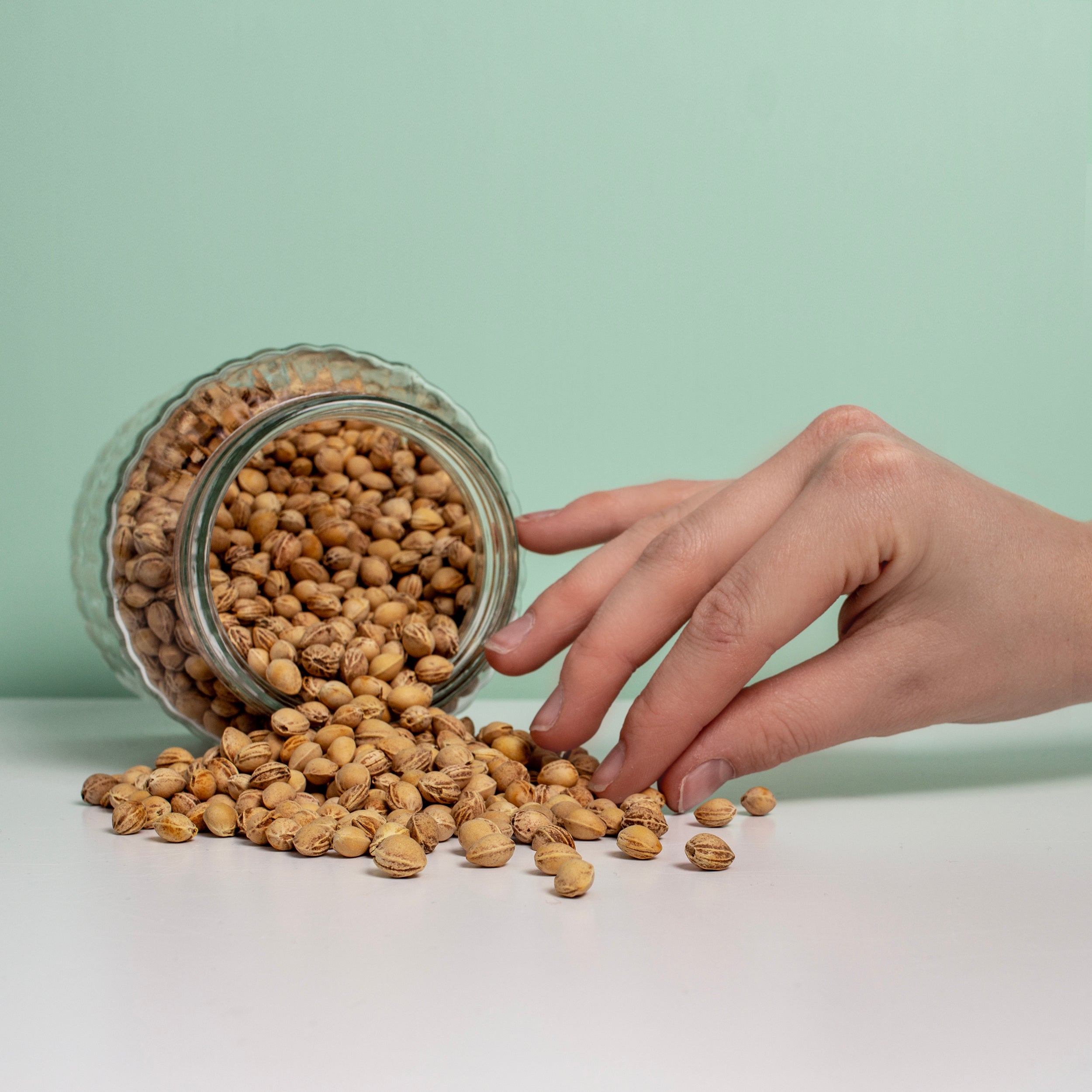 Kirschkerne in Premium-Qualität, 10 kg