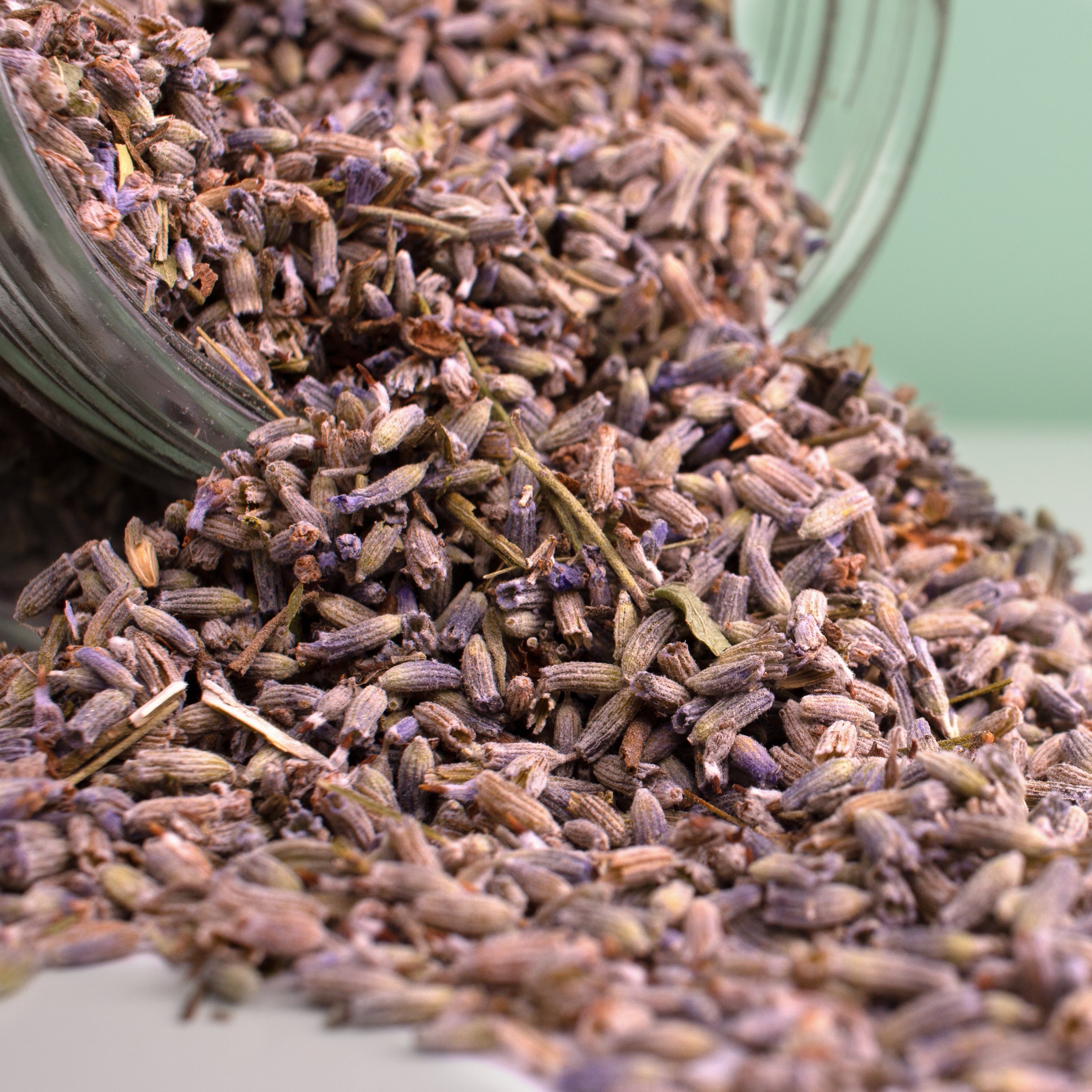 Lavendelblüten, 1 kg