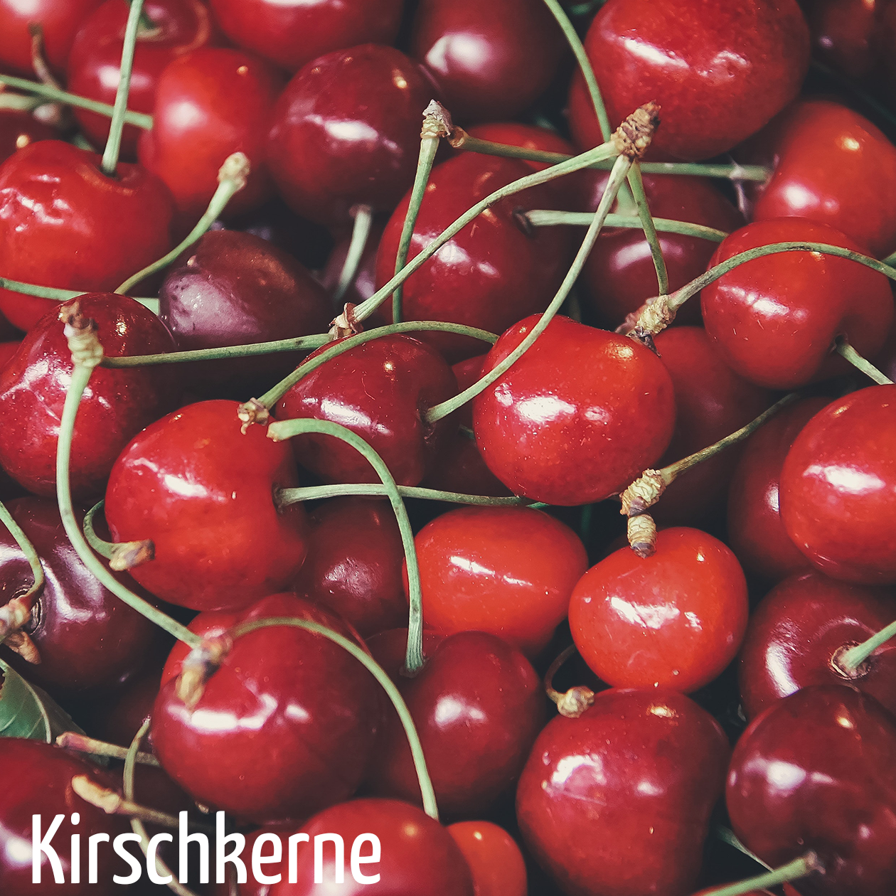 Kirschkerne in Premium-Qualität, 25 kg